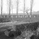 Archiv der Region Hannover, ARH NL Dierssen 0135/0023, Friedhof und Ehrenfriedhof, Bad Münder