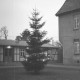 Archiv der Region Hannover, ARH NL Dierssen 0136/0003, Weihnachtsbaum vor dem Rathaus, Springe