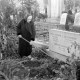ARH NL Dierssen 0136/0011, Alte Frau harkt ein Grab, Springe