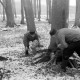 Archiv der Region Hannover, ARH NL Dierssen 0141/0002, Holzfäller im Saupark