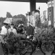 Archiv der Region Hannover, ARH NL Dierssen 0199/0020, Fahrrad-Ausstellung Blume