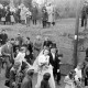 Archiv der Region Hannover, ARH NL Dierssen 1006/0009, Hochzeit Scheunert