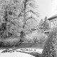 Archiv der Region Hannover, ARH NL Dierssen 1007/0011, Schnee und Reif im Garten des Landratsamtes