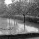 Archiv der Region Hannover, ARH NL Dierssen 1029/0006, Hochwasser in der Echternstraße, Springe