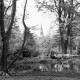 Archiv der Region Hannover, ARH NL Dierssen 1032/0002, Stadtpark, Springe