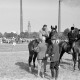 Archiv der Region Hannover, ARH NL Dierssen 1048/0014, Reitturnier, Springe