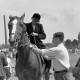 Archiv der Region Hannover, ARH NL Dierssen 1050/0028, Reitturnier, Springe