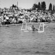 Archiv der Region Hannover, ARH NL Dierssen 1155/0026, Deutsche Wasserballmeisterschaft, Hannover