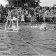 Archiv der Region Hannover, ARH NL Dierssen 1156/0006, Deutsche Wasserballmeisterschaft, Hannover