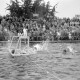 Archiv der Region Hannover, ARH NL Dierssen 1156/0014, Deutsche Wasserballmeisterschaft, Hannover