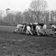 Archiv der Region Hannover, ARH NL Dierssen 1175/0014, Rugby Deutschland - Belgien, Hannover