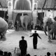 Archiv der Region Hannover, ARH NL Dierssen 1178/0002, Elefanten im Cirkus Busch aus Berlin, Seesen