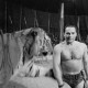 ARH NL Dierssen 1178/0006, "Tarzan mit Tiger" im Cirkus Busch aus Berlin, Seesen
