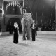 Archiv der Region Hannover, ARH NL Dierssen 1178/0013, Elefanten im Cirkus Busch aus Berlin, Seesen