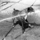 ARH NL Dierssen 1204/0009, Hund "Bobby" von Mensenkamp mit Wasserstrahl, Springe