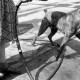 Archiv der Region Hannover, ARH NL Dierssen 1204/0015, Hund "Bobby" von Mensenkamp mit Wasserstrahl, Springe
