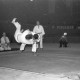 Archiv der Region Hannover, ARH NL Dierssen 1226/0006, "Fest der Sportpresse": Judo mit japanischem Weltmeister, Hannover