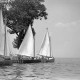 Archiv der Region Hannover, ARH NL Dierssen 1245/0027, Segelboote auf dem Steinhuder Meer am Steg liegend, Steinhude