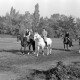 Archiv der Region Hannover, ARH NL Dierssen 1267/0006, Reiter auf der Rennbahn, Hannover