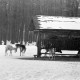 Archiv der Region Hannover, ARH NL Dierssen 1301/0035, Tiergarten: Wild im Schnee, Kirchrode