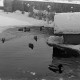 ARH NL Dierssen 1302/0012, Enten im zugefrorenen Teich (Stadthallengarten), Hannover