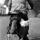 ARH NL Dierssen 1328/0015, Hund in einer Tasche an einem Kraftrad, Bremen