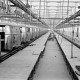 Archiv der Region Hannover, ARH NL Dierssen 1345/0006, Neubau VW-Werk: Innenaufnahmen bei Probemontage, Hannover