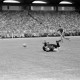 Archiv der Region Hannover, ARH NL Dierssen 1356/0028, Deutsche Fußballmeisterschaft 1955/56: Hannover 96 gegen FC Kaiserslautern, Hannover