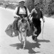 Archiv der Region Hannover, ARH NL Dierssen 1362/0031, Tour d'Europe: Mann auf Esel, Spanien