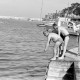 Archiv der Region Hannover, ARH NL Dierssen 1363/0024, Tour d'Europe: Männer baden im Hafen, Monte-Carlo
