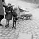 Archiv der Region Hannover, ARH NL Dierssen 1382/0009, Pilger mit Ziege, die einen kleinen Wagen mit der Aufschrift "Wir suchen die Wahrheit" zieht, Wülfingen
