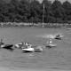 Archiv der Region Hannover, ARH NL Dierssen 1392/0025, Motorboot-Rennen auf dem Maschsee, Hannover