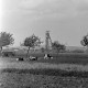 Archiv der Region Hannover, ARH NL Dierssen 1398/0031, Kühe auf der Weide mit Kalischacht im Hintergrund, Lüdersfeld