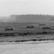 Archiv der Region Hannover, ARH NL Dierssen 1435/0010, Aufnahme zum Schießunglück auf dem Truppenübungsplatz Bergen-Hohne am 9. April 1964, Bergen