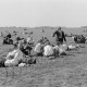 Archiv der Region Hannover, ARH NL Dierssen 1452/0019, Flugplatzrennen, Wunstorf