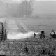 ARH NL Dierssen 1523/0002, DDR-Unkrautbekämpfung am Stacheldraht