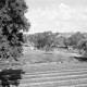 Archiv der Region Hannover, ARH NL Dierssen 1566/0018, Landschaft bei Çesme