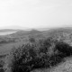 Archiv der Region Hannover, ARH NL Dierssen 1567/0026, Blick aufs Meer, Ildiri?