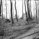 ARH NL Dierssen G 190, "Dschungel" im Volkspark, Springe