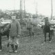 ARH NL Kageler 108, 1. Weltkrieg, Pferde als Tragetier, Priesterwald (Bois-le-Prêtre), Frankreich