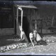 ARH NL Kageler 208, 1. Weltkrieg, Meldehund, Frankreich