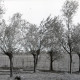 Archiv der Region Hannover, ARH NL Kageler 2398, Landschaft, Reden