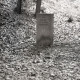 Archiv der Region Hannover, ARH NL Kageler 2536, Ringwall auf dem Gehrdener Berg
