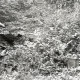 ARH NL Kageler 2539, Ringwall auf dem Gehrdener Berg