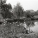 Archiv der Region Hannover, ARH NL Kageler 2810, Mühlenteich, Wennigsen