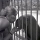 Archiv der Region Hannover, ARH NL Koberg 12004, Walross im Zoo Hannover