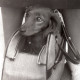 Archiv der Region Hannover, ARH NL Koberg 12108, Hundeausstellung, Hannover