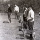 Archiv der Region Hannover, ARH NL Koberg 12116, Hundeausstellung, Hannover