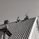 Archiv der Region Hannover, ARH NL Koberg 5388, Männer auf einem Dach montieren einer Fernsehantenne, Insel Neuwerk