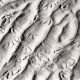 ARH NL Koberg 5522, Fußabdrücke von Möwen im Sand, Insel Neuwerk
